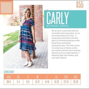 Lula Roe Carly high low dress